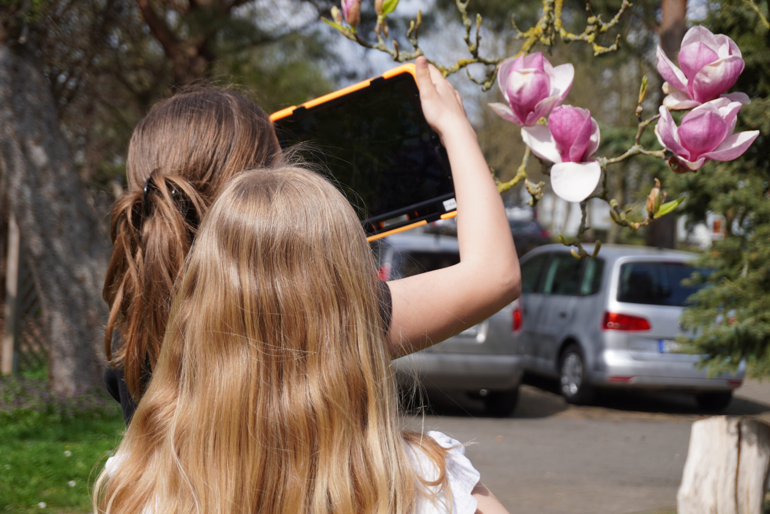 Willkommen bei der Medienwerkstatt Wismar
